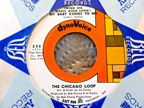 The chicago loop dynovoice - the,