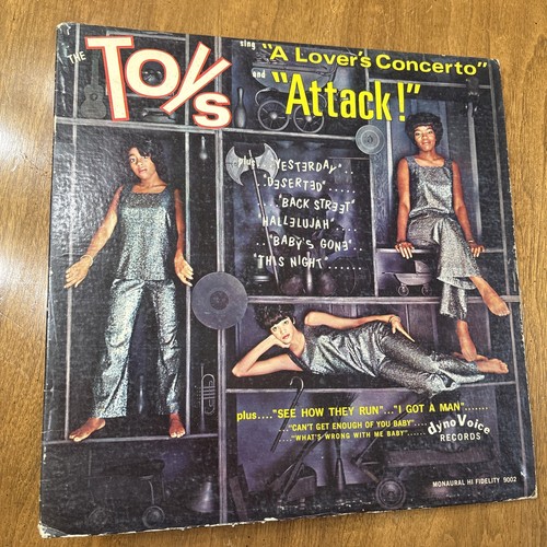 1966 the toys dynovoice vinyl - 1966,